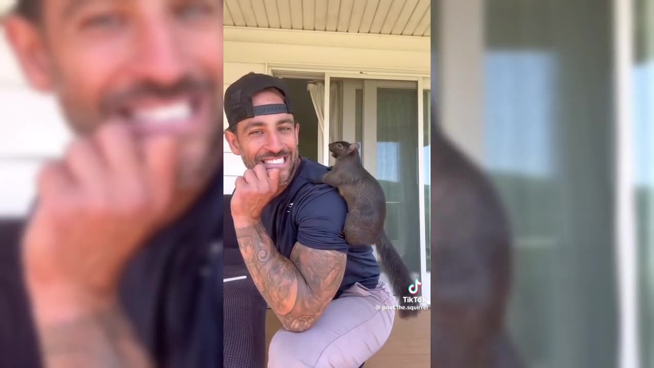 Rip Peanut the squirrel (Limp Bizkit My Memory Music video)