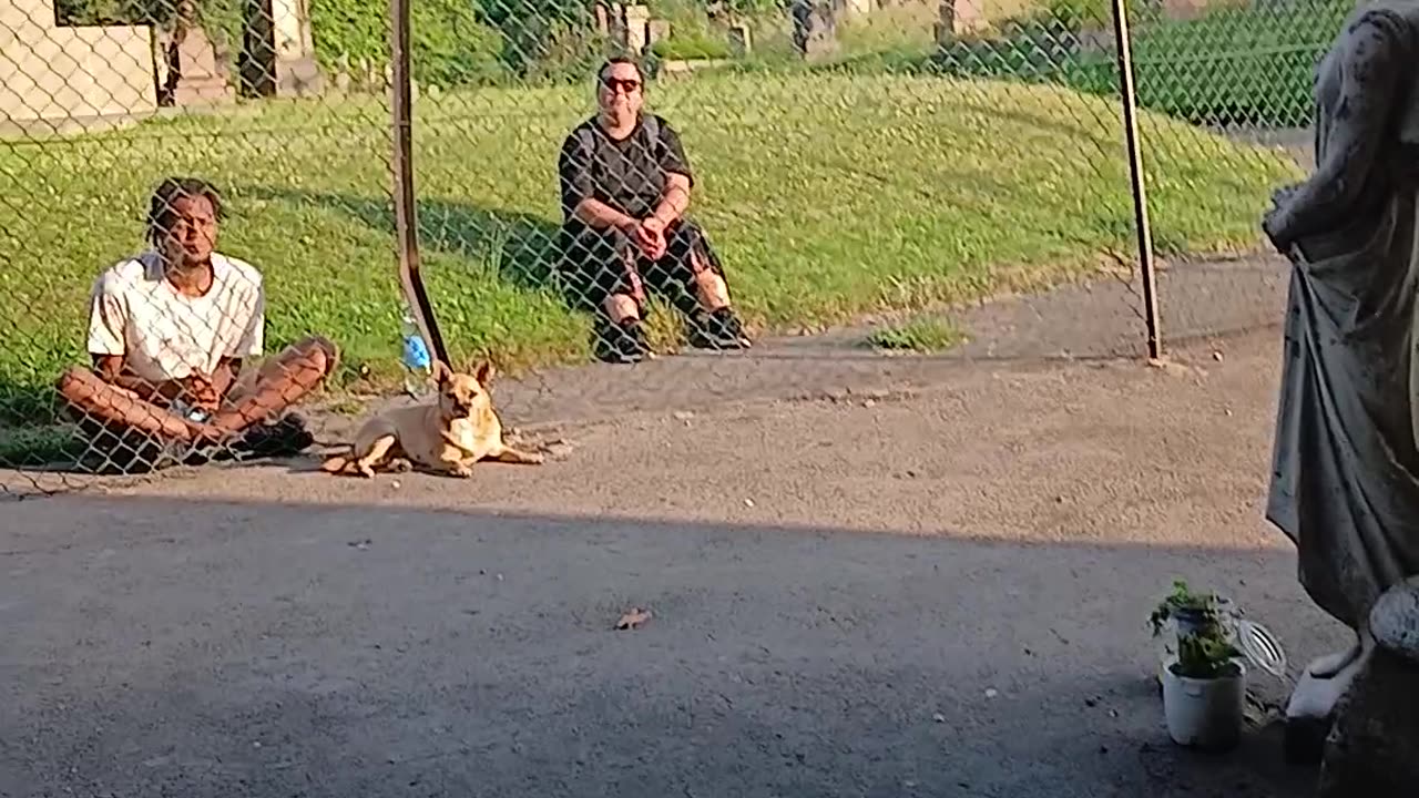 A lying twat of a "friend" called me out of the chapel that the council agreed sale of 2 me.