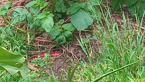 ANDREWS FARMING EXPERTISE