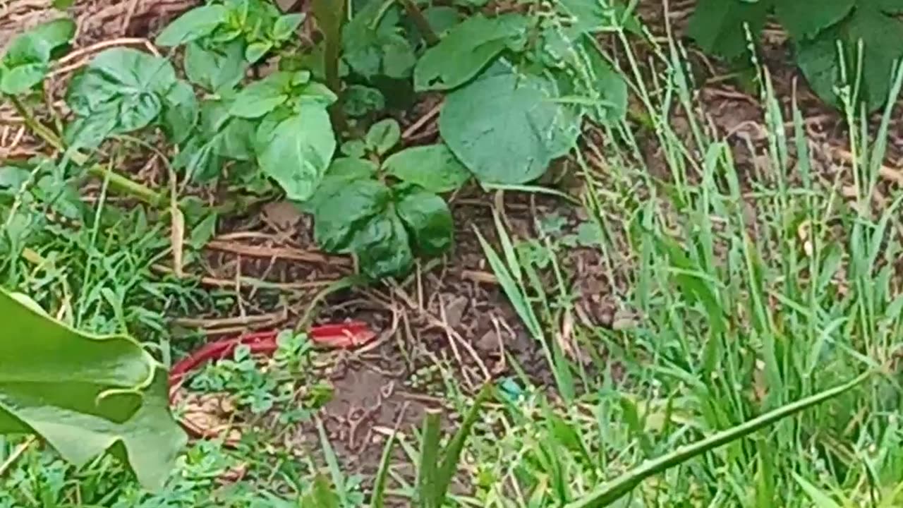 ANDREWS FARMING EXPERTISE