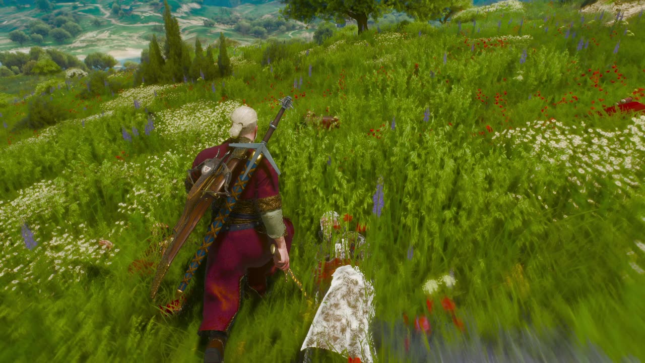 Witcher 3 Console Command test