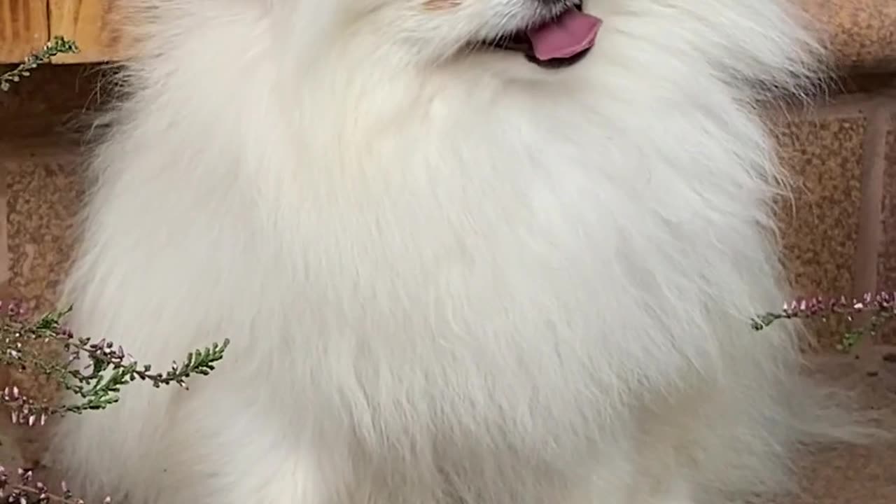 Stay in Gratitude and in Light