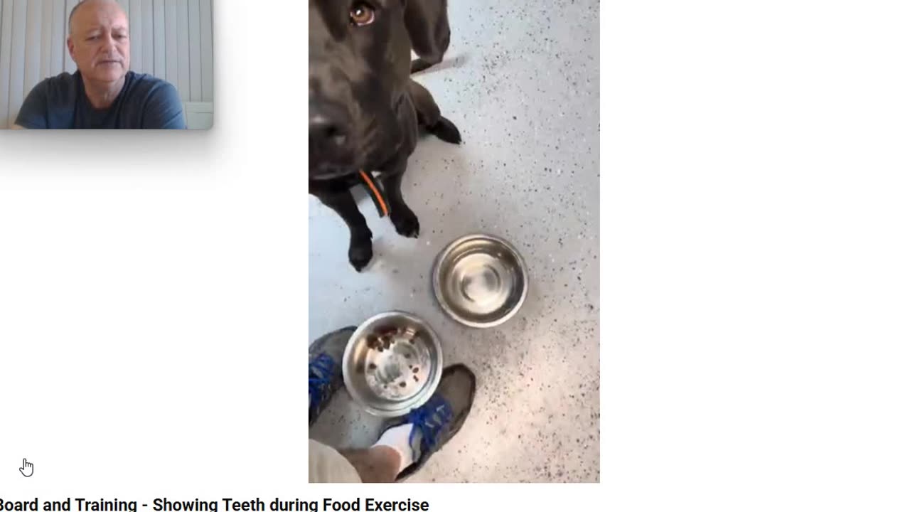 The Cesar Millan Copy Cat Method vs the Relational Approach via Food Aggression - Pt 2