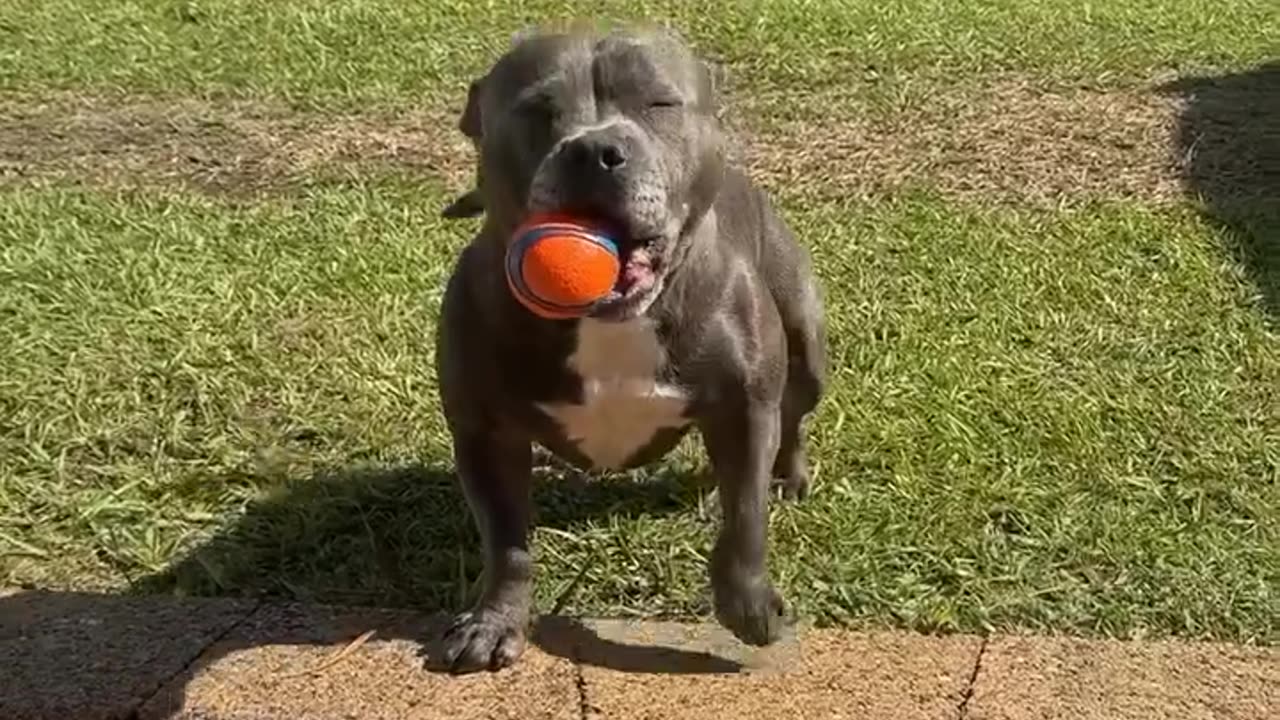 precious baby