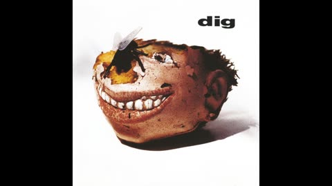 Dig - Dig 1993