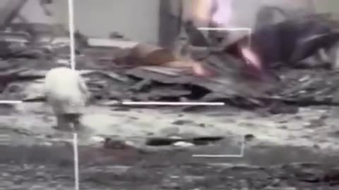 gaza 2025