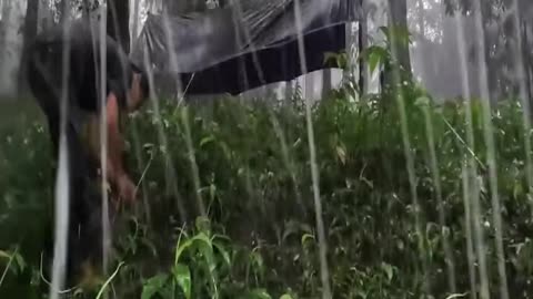 SOLO CAMPING HEAVY RAIN AMAZING HIKING TROUGH THE FOREST SPENDING TIME WITH RAIN ASMR