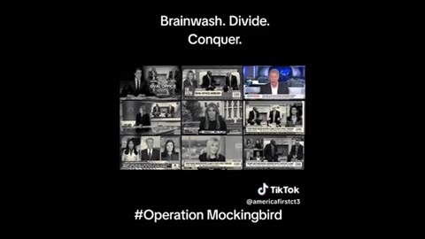 Operation Mockingbird ..
