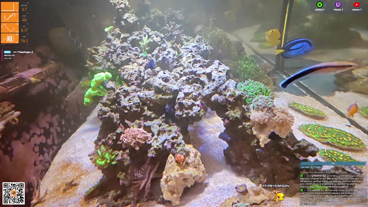 24/7 Real Live Reef Stream