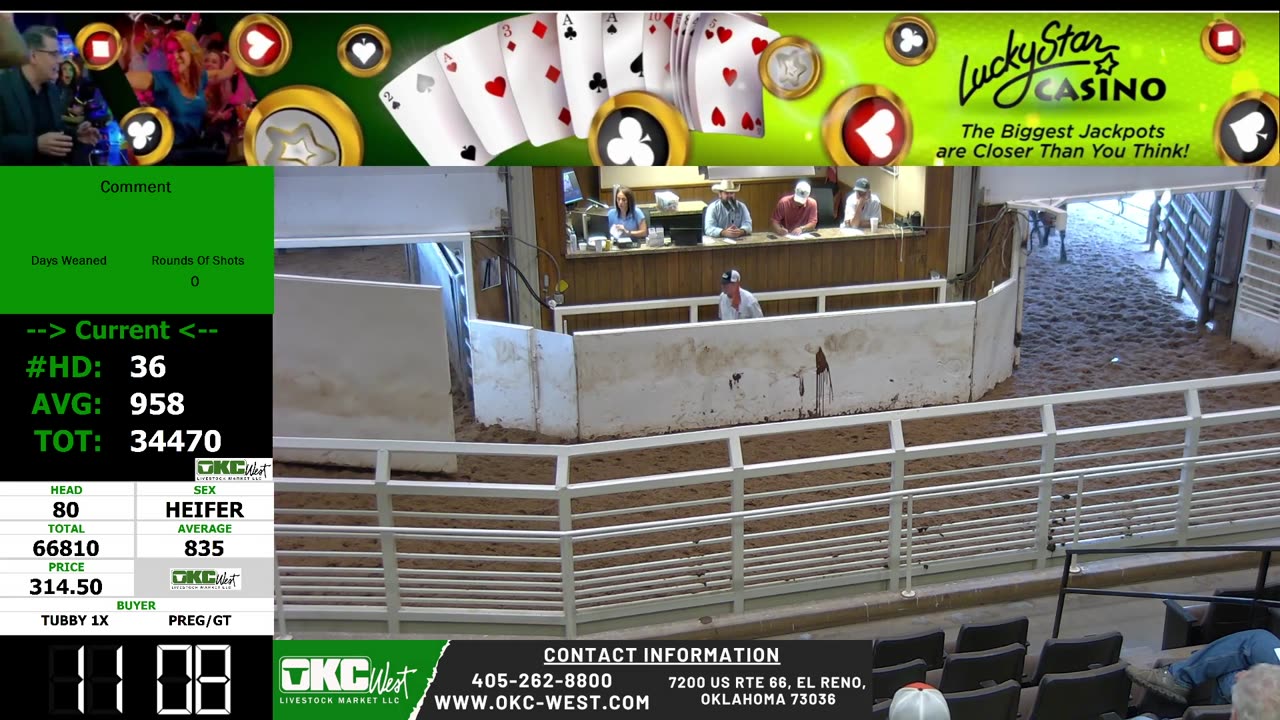 8/13/2025 - Feeder Calf Auction - OKC West