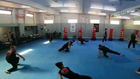 Hapkido