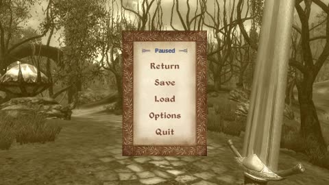 The Elder Scrolls IV: Oblivion