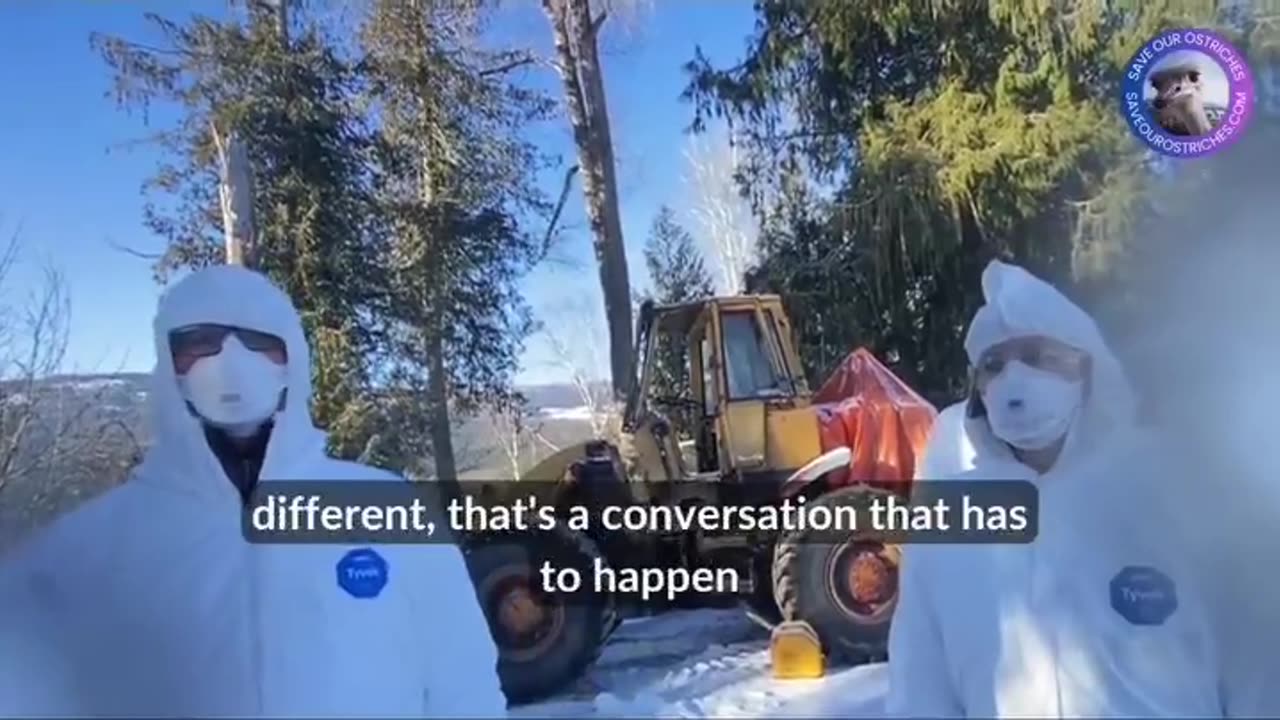 Heartbreaking: fed authorities kill 400 healthy ostriches with avian flu,despite the absence of symptoms