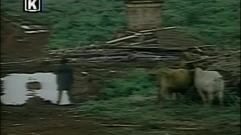 Hermanos -Capítulo 09