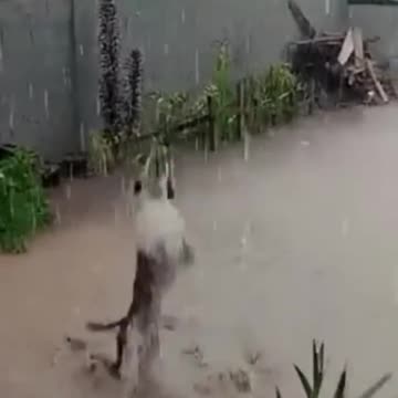 You just need to be happy that you're alive!