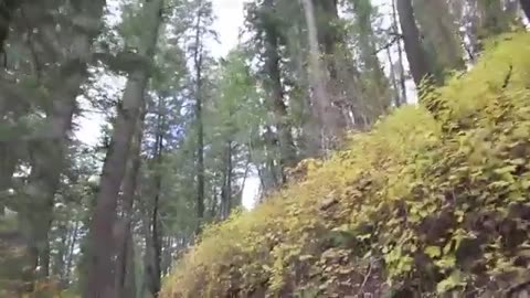Up There Them Yonder Mountains (Vlogtober October 7 2013)