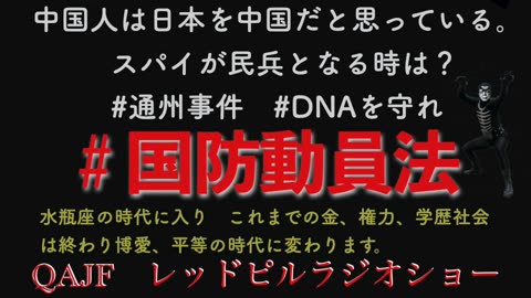 #国防動員法