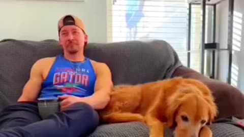 Dogs reactions to a fart machine 😆