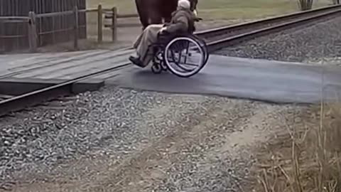 Horse Saved an Elderly Man at the Last Second
