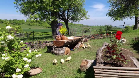 Making Traditional Caucasian 100_ Organic Dish, Göy Kətəsi, Organic Food