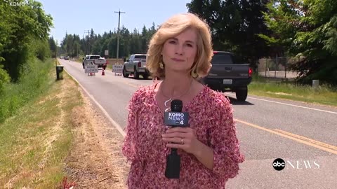 Millions of honeybees abuzz after truck overturns in Washington state