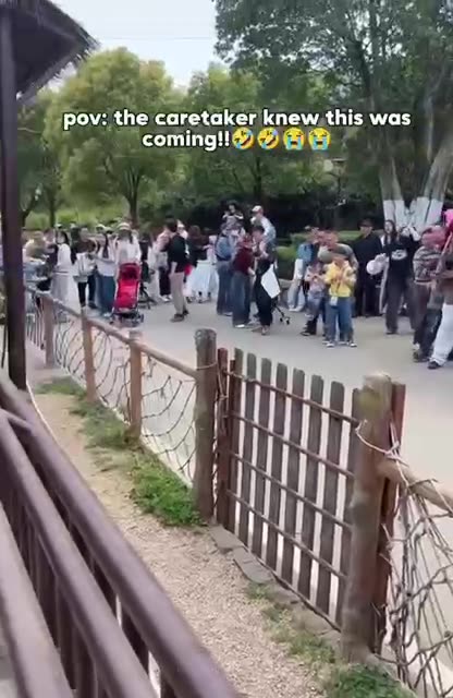 Hippopotamus holding nothing back taking aim