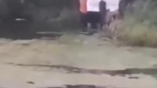 Almost 150,000 Indians have moved to Ireland in the last 5 years and they have