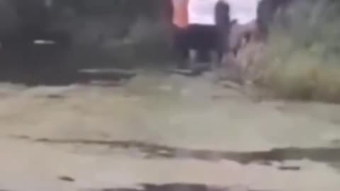 Almost 150,000 Indians have moved to Ireland in the last 5 years and they have