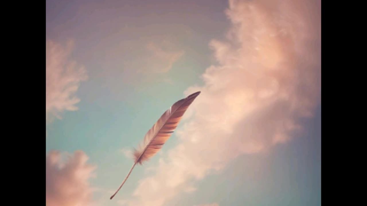 CMD- A Day Out Of Your Bed