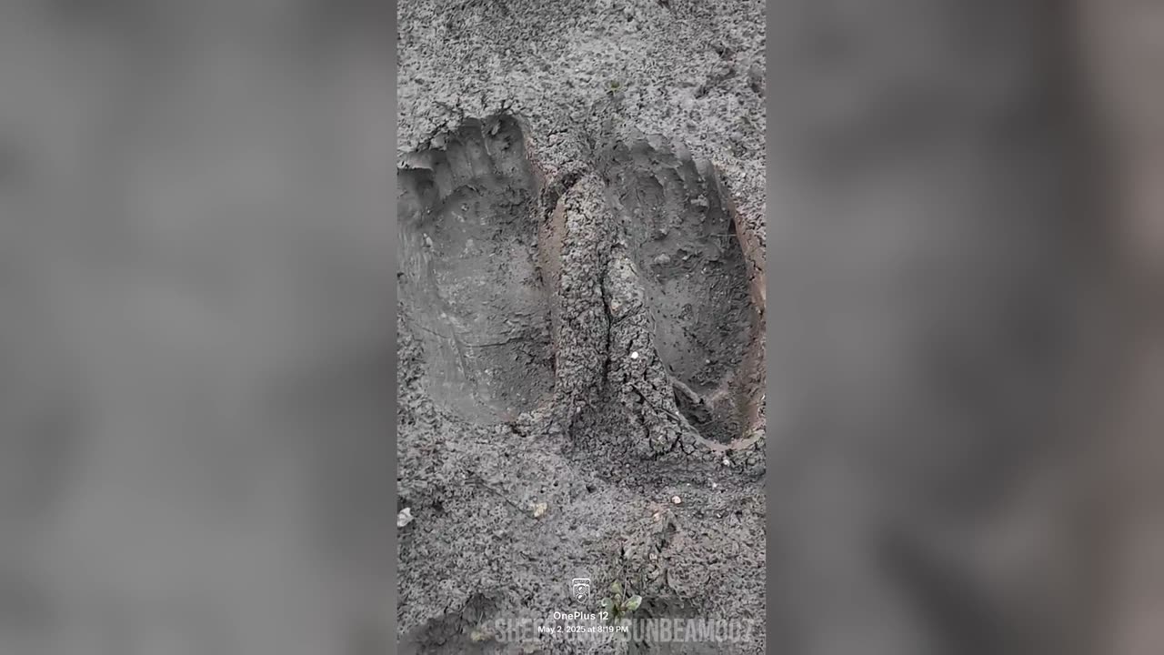 Barefeet grounding sensation in mud #barefeet #sensory #fun