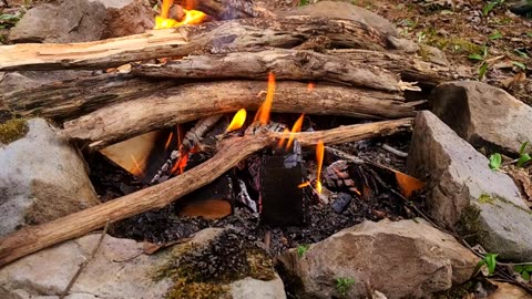 Forage and Cook Morels, Wild Leeks, and Venison on Cast Iron Over a Campfire_part1