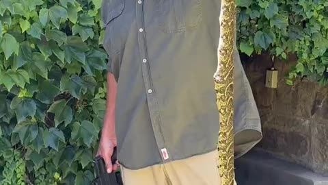 Venomous snakes in the yard!