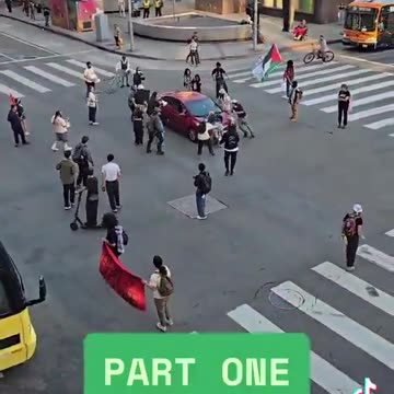 Protestor gets ran over
