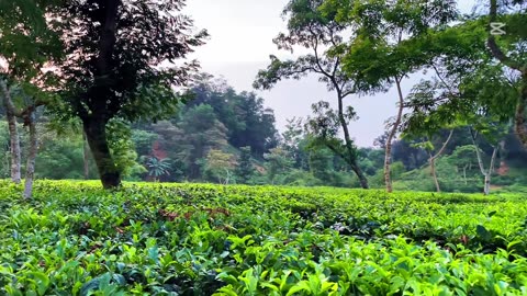 A beautiful place in Bangladesh