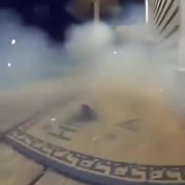 Animals playing with fireworks