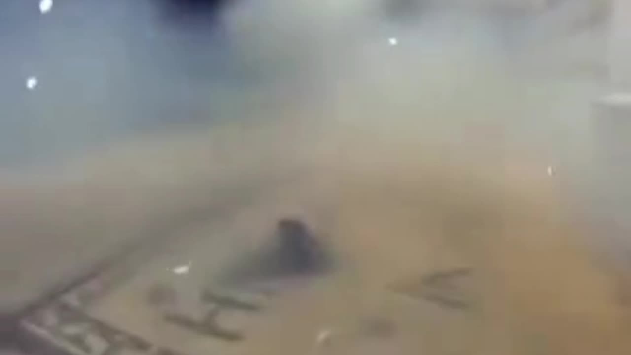 Animals playing with fireworks