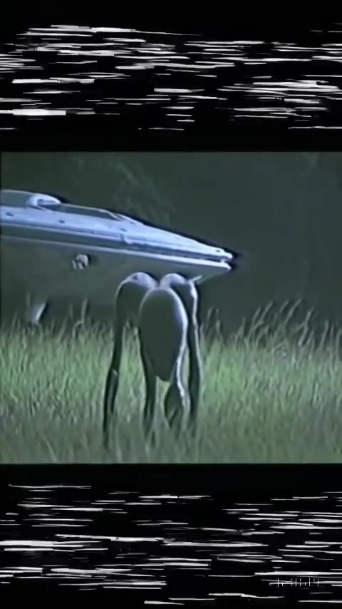 1987 alien crash footage