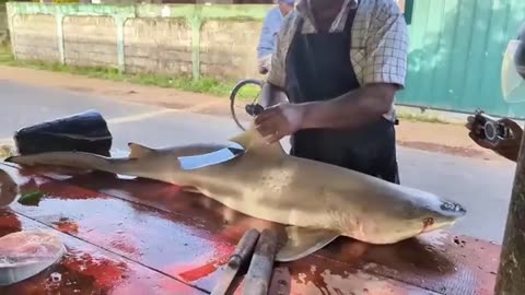 120KG Tuna Sliced in Public – Master Cutter Stuns the Whole Village!