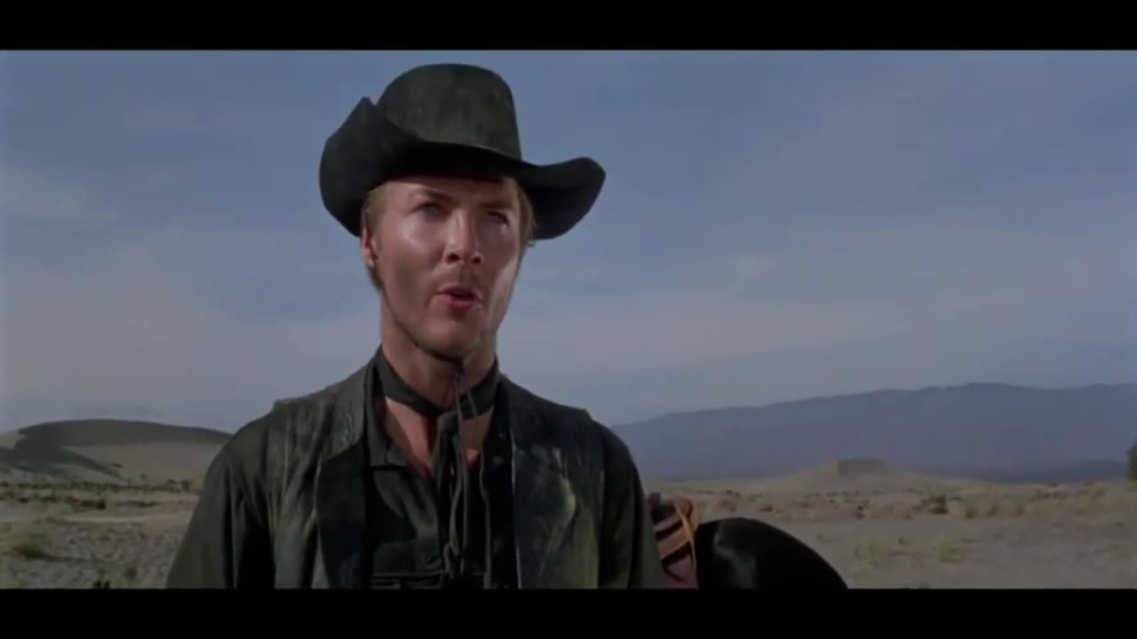 RENEGAYED GUNFIGHTER
