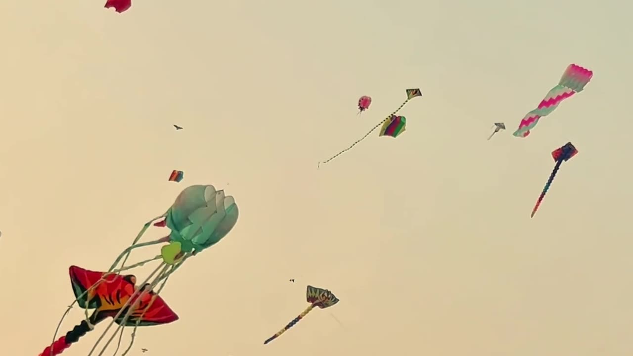 Don’t give up on your planet