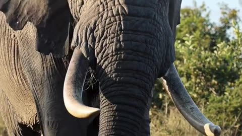 When to Visit Tanzania? Here’s the Best Time