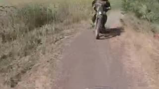 Watch Where You're Going!