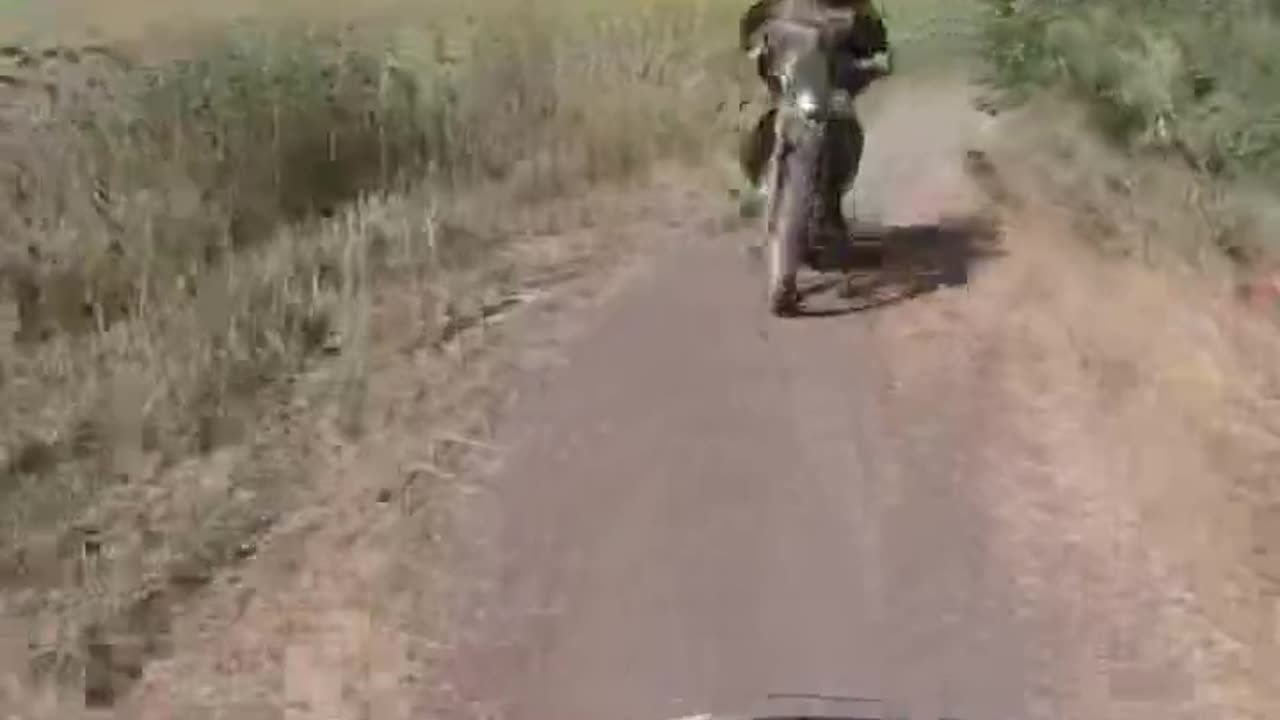 Watch Where You're Going!