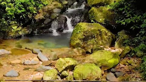 Somewhere in The Khasi Hills of Meghalaya!