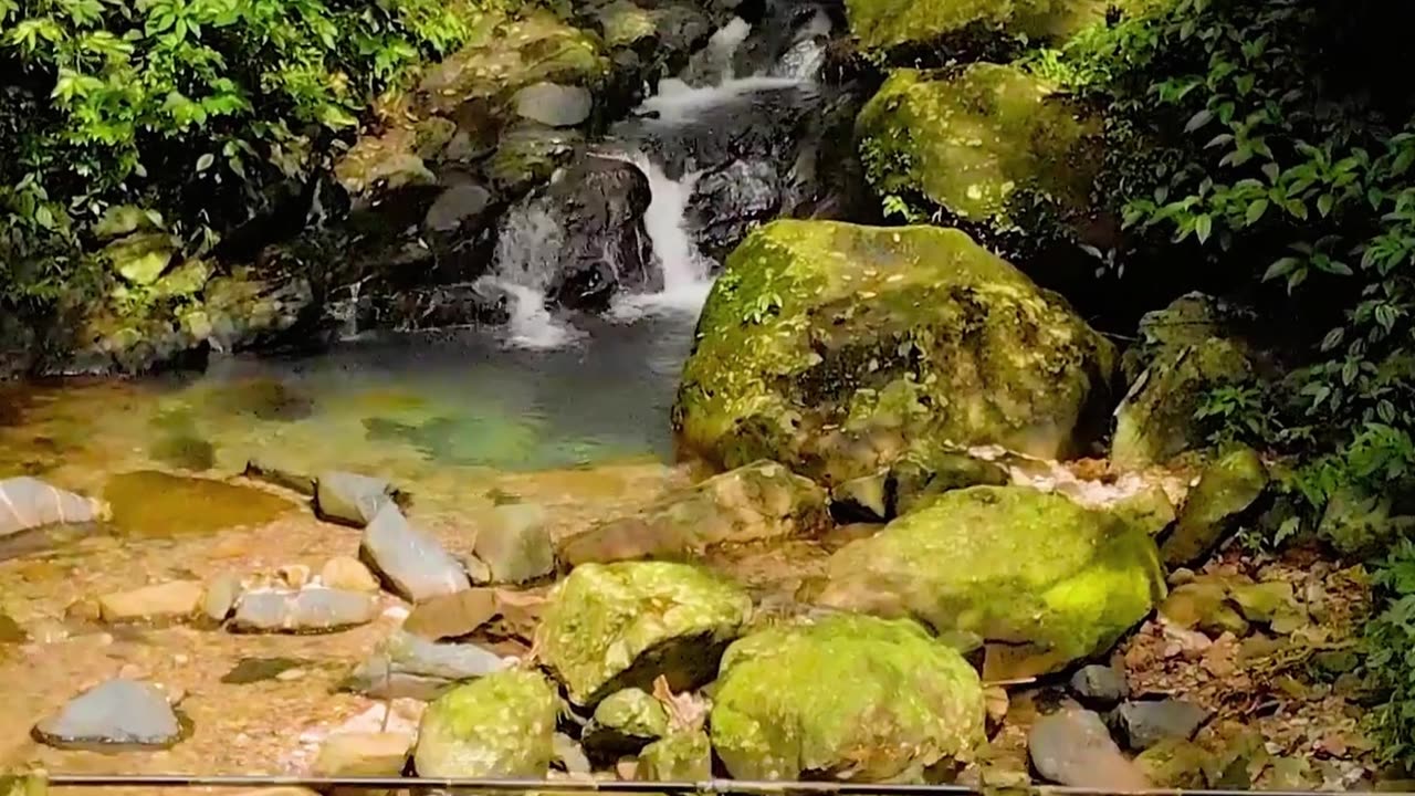 Somewhere in The Khasi Hills of Meghalaya!