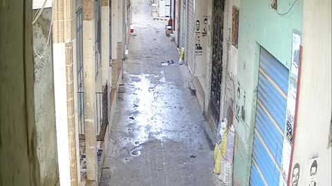 Camera1_elsayed_elsayed_20250124121500_20250124132321_1187146