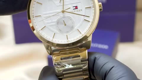 Tommy Hilfiger Men’s Watch 1791609