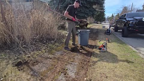 Peeling Back A CENTURY OLD Sidewalk To Help It BREATHE Again_part10