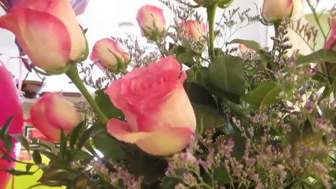 Before the End of Time (Weekly Vlog February 19, 2014)