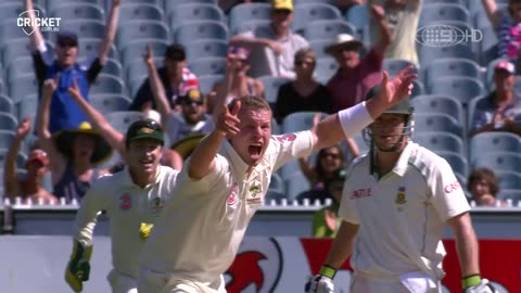 Saturday Seed: Siddle appeals after bowling de Villiers